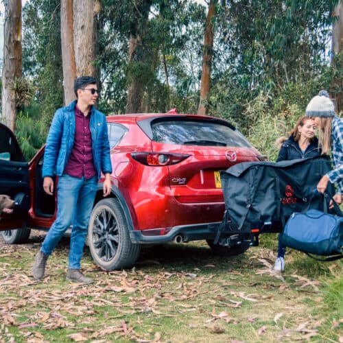 Familia de camping sacando sus cosas de un canasta